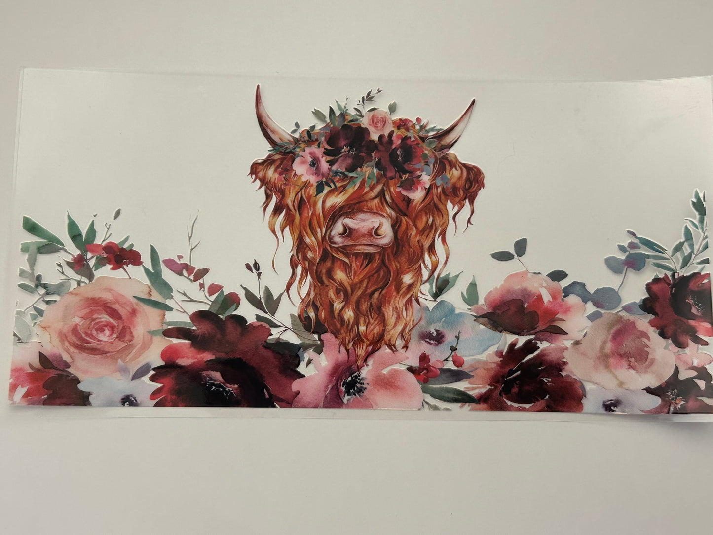 121-highland cow