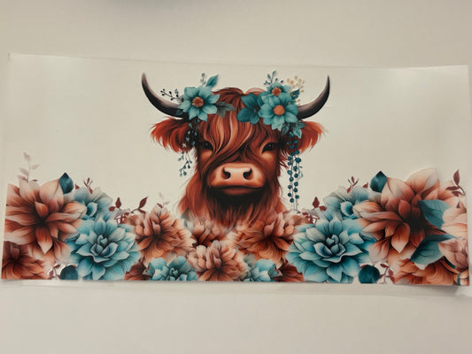 120-baby highland cow